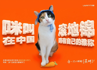 当品牌开始为宠物设计&ldquo;文化身份&rdquo;：友望开启2026宠物友好营销的进阶样本